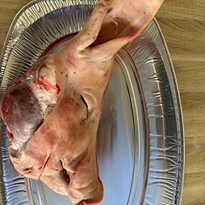 OP Derma Pig-Face Trainingskurs<br>(Mitglied RWDG)